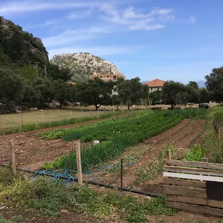 Ayran Διαμέρισμα